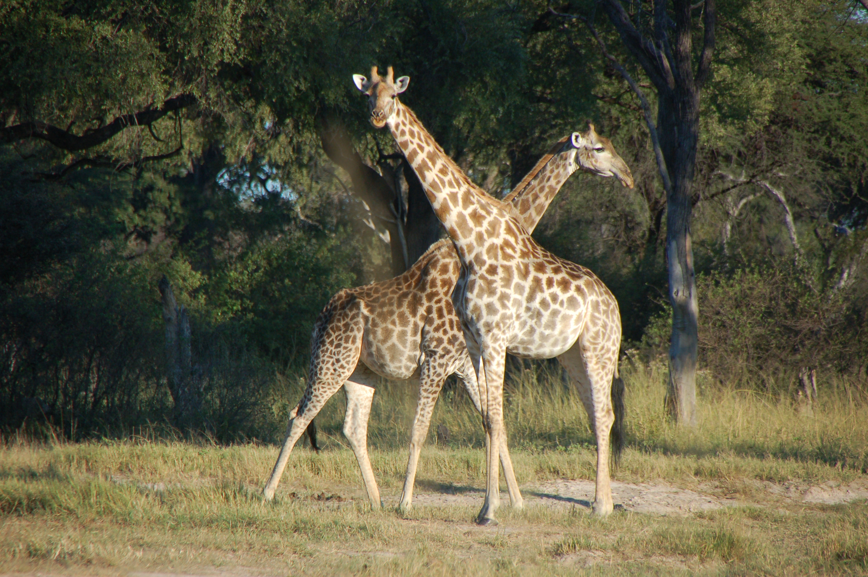 ÉPHÉMÉRIDES DU 29 MAI
