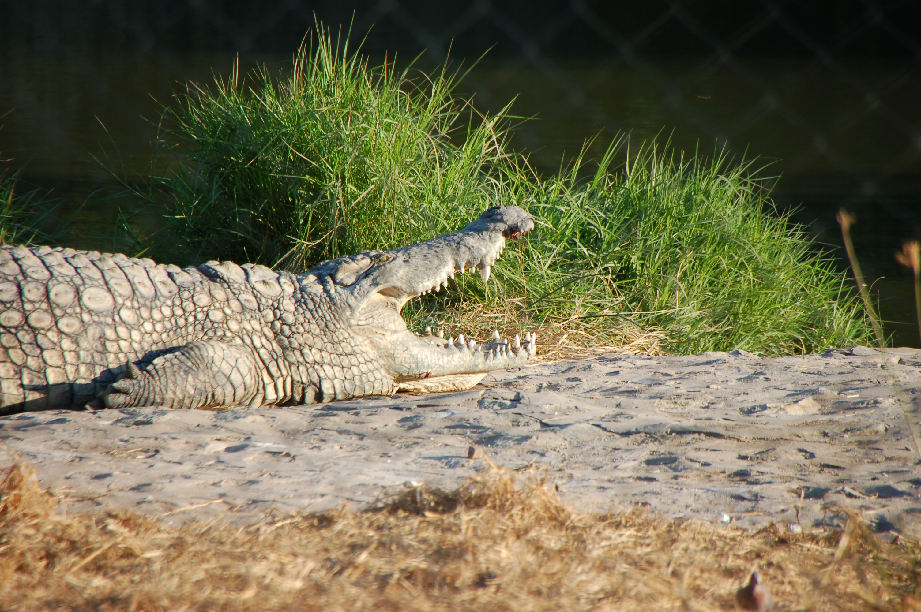 ÉPHÉMÉRIDES DU 28 MAI