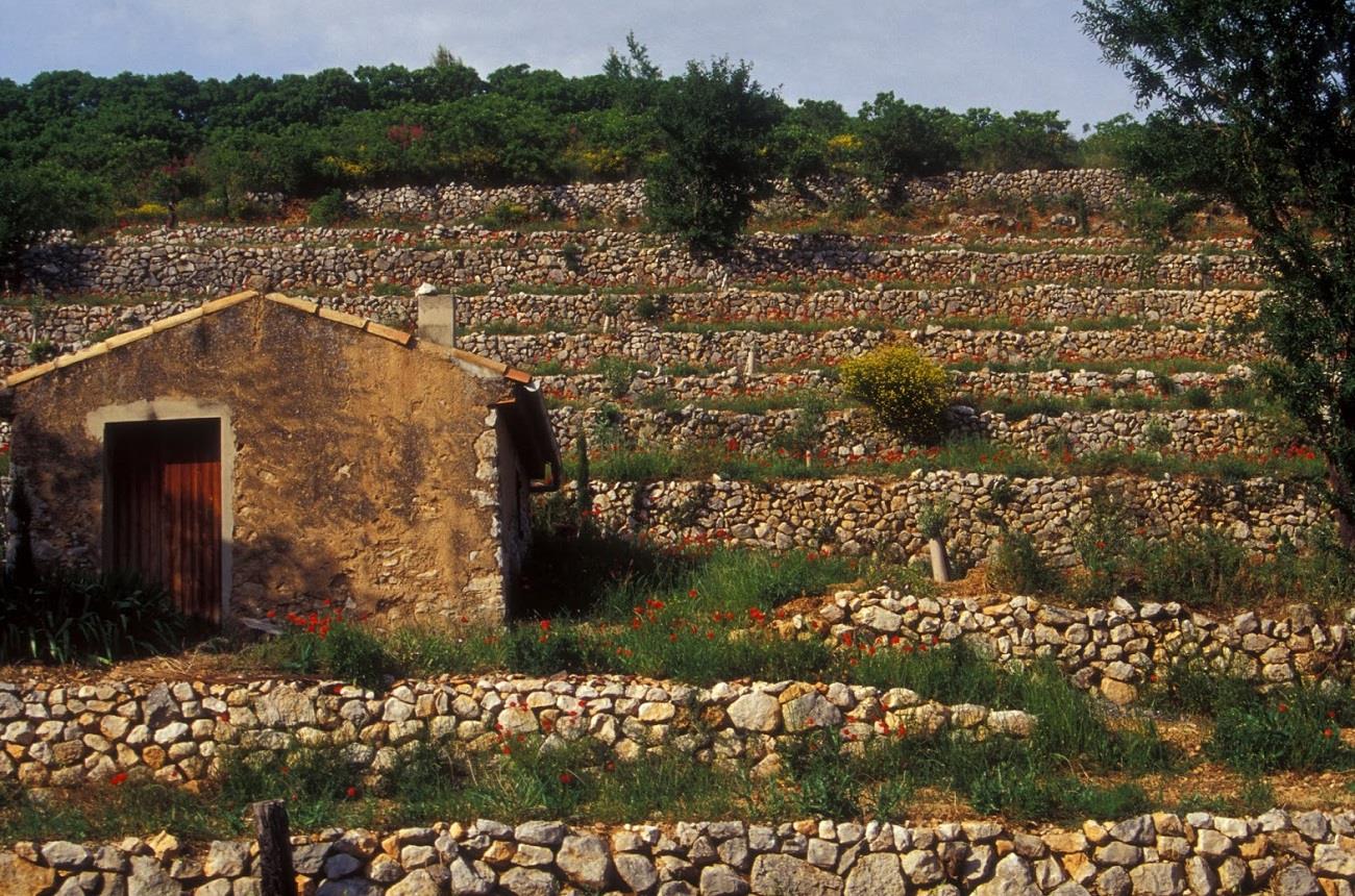 ÉPHÉMÉRIDES DU 3 AOÛT