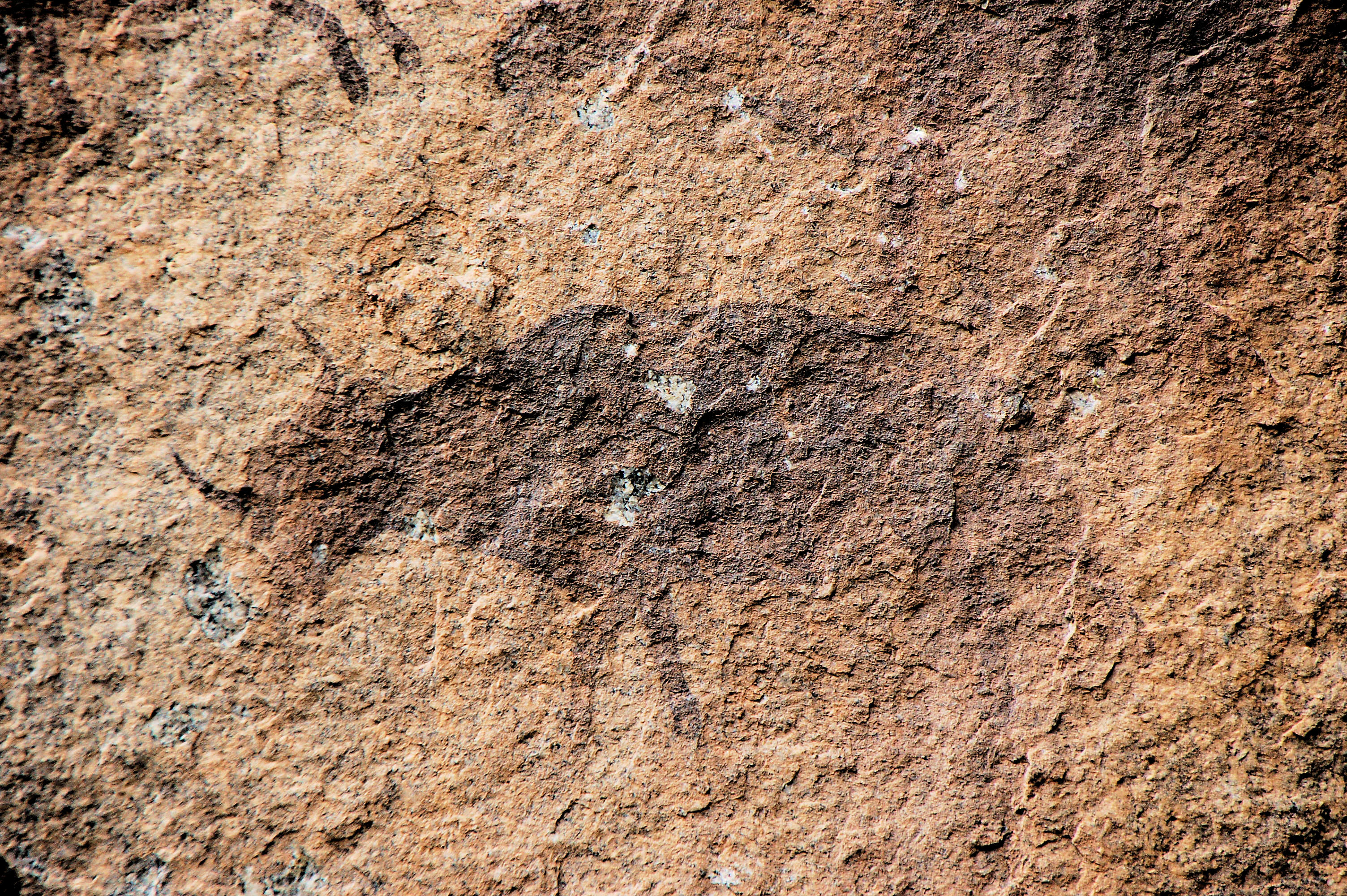 ÉPHÉMÉRIDES DU 26 SEPTEMBRE