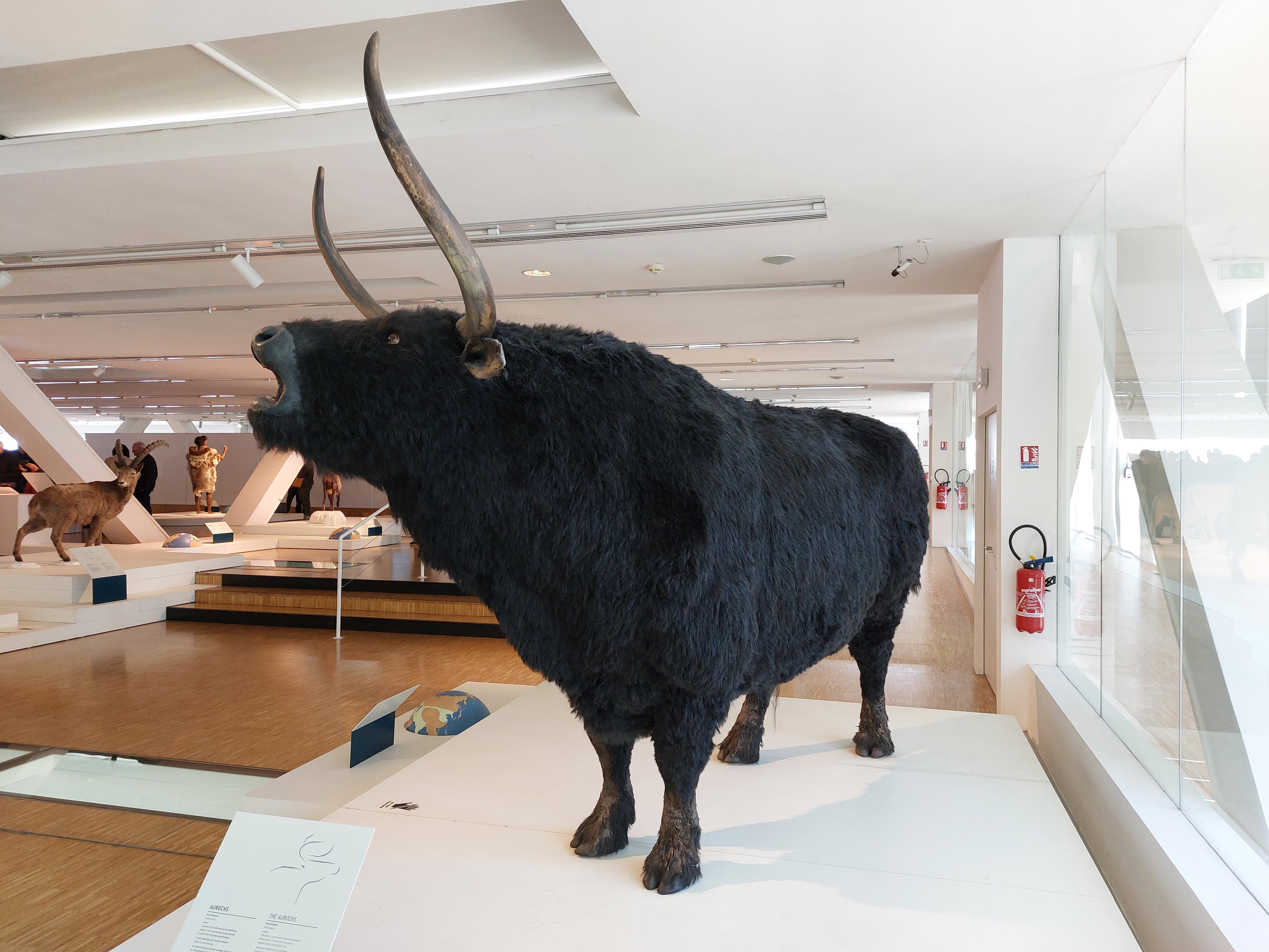 EPHEMERIDES DU 23 NOVEMBRE