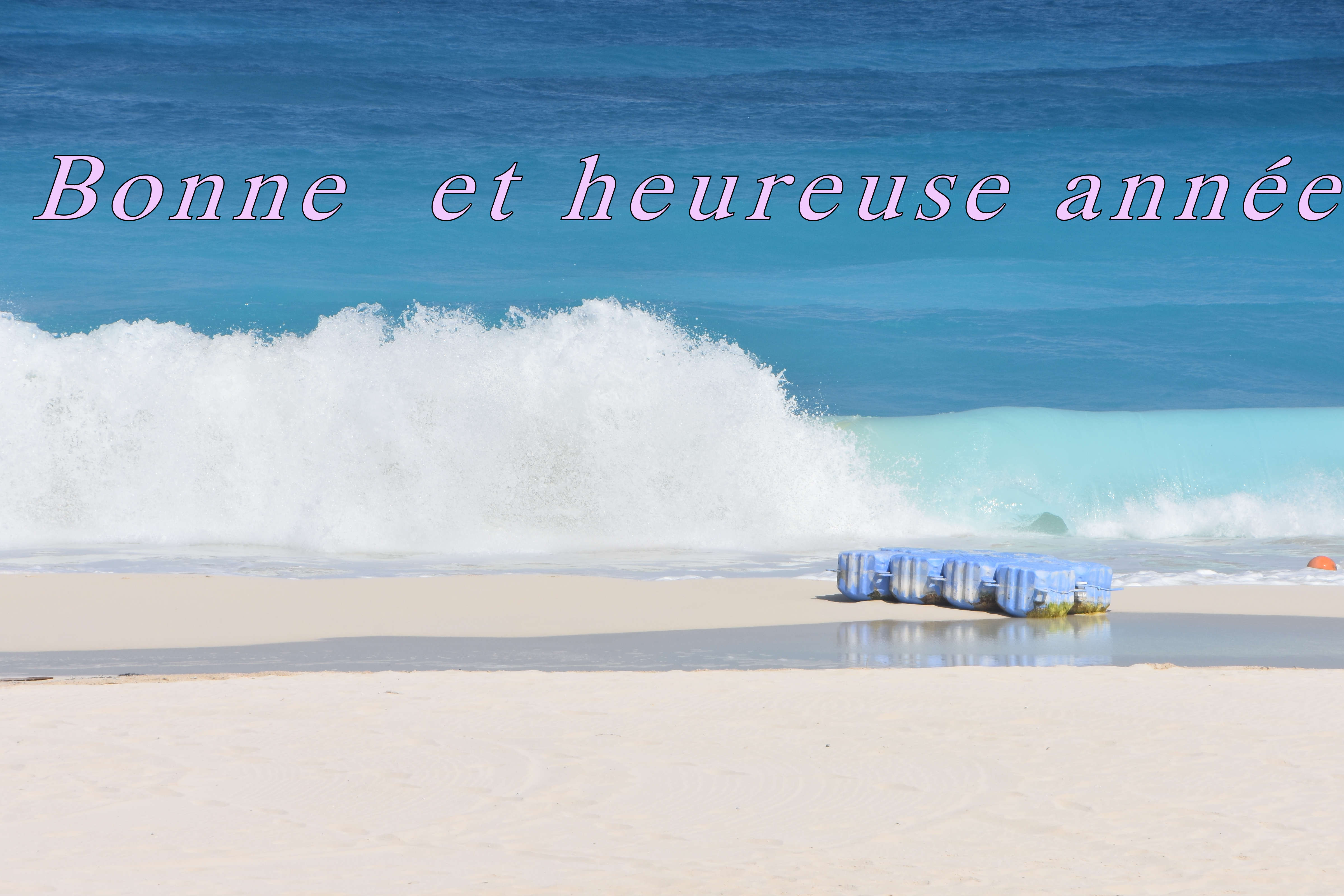 BONNE ANNÉE A TOUS !