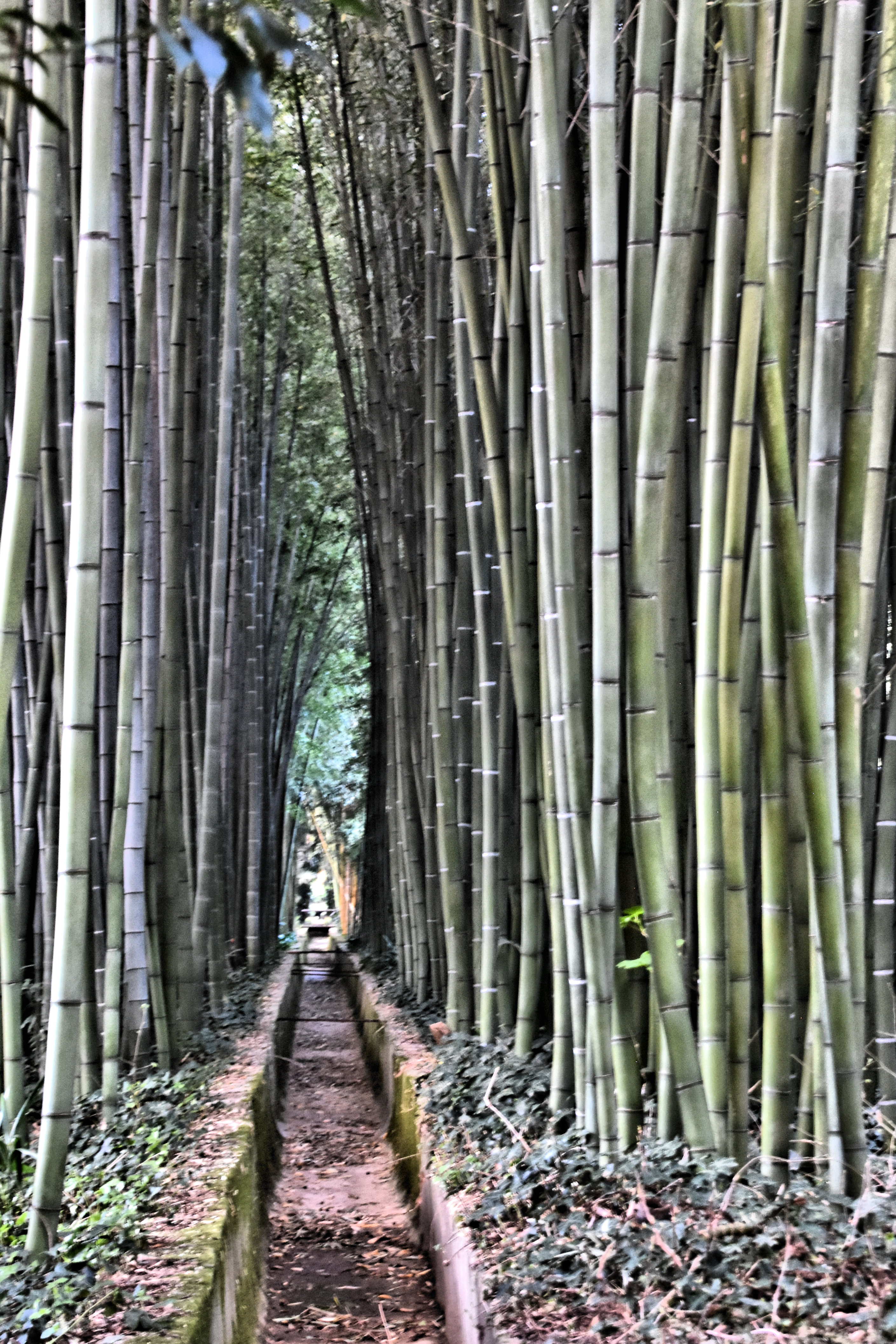 ÉPHÉMÉRIDES DU 12 AVRIL