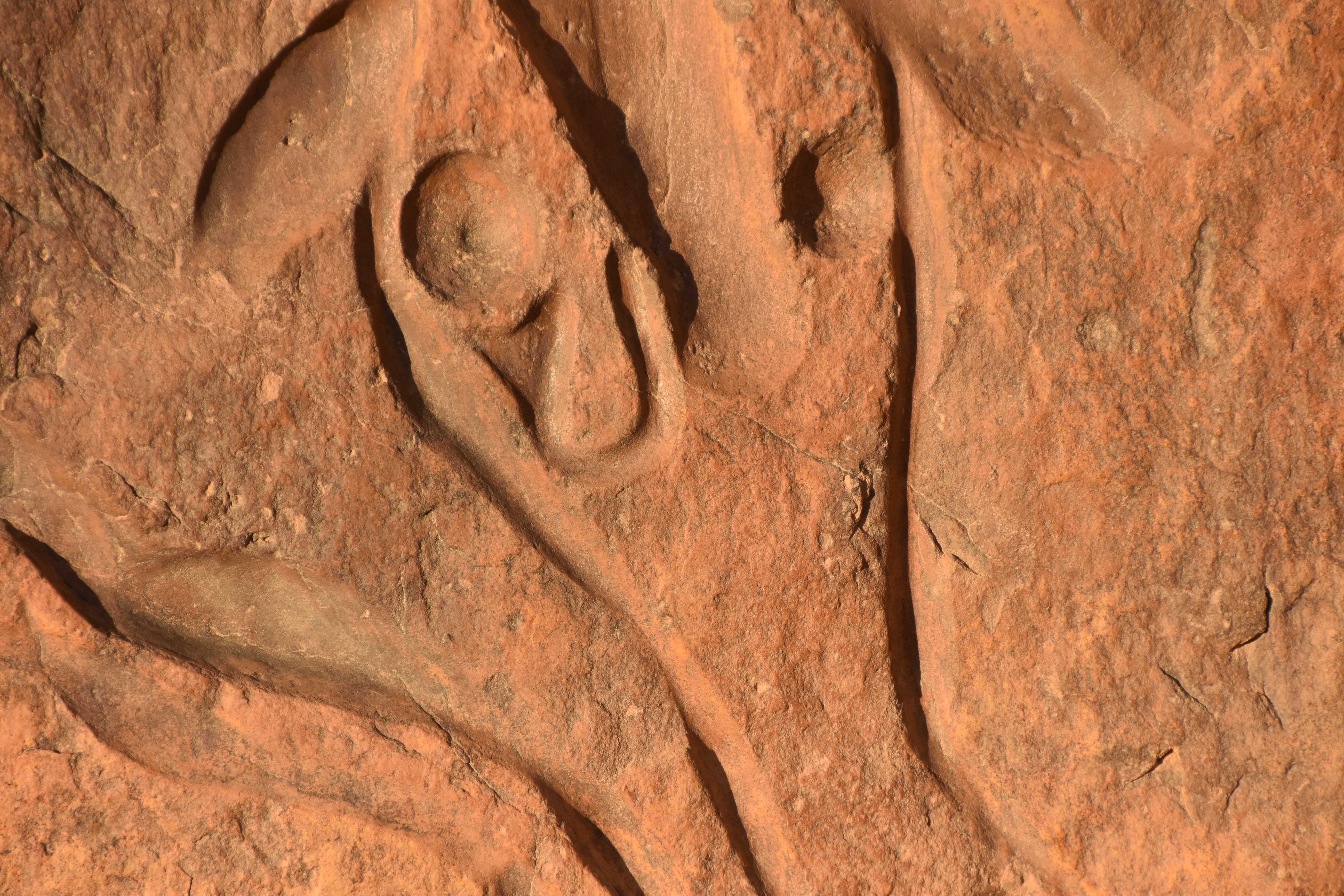 ÉPHÉMÉRIDES DU 20 JUIN