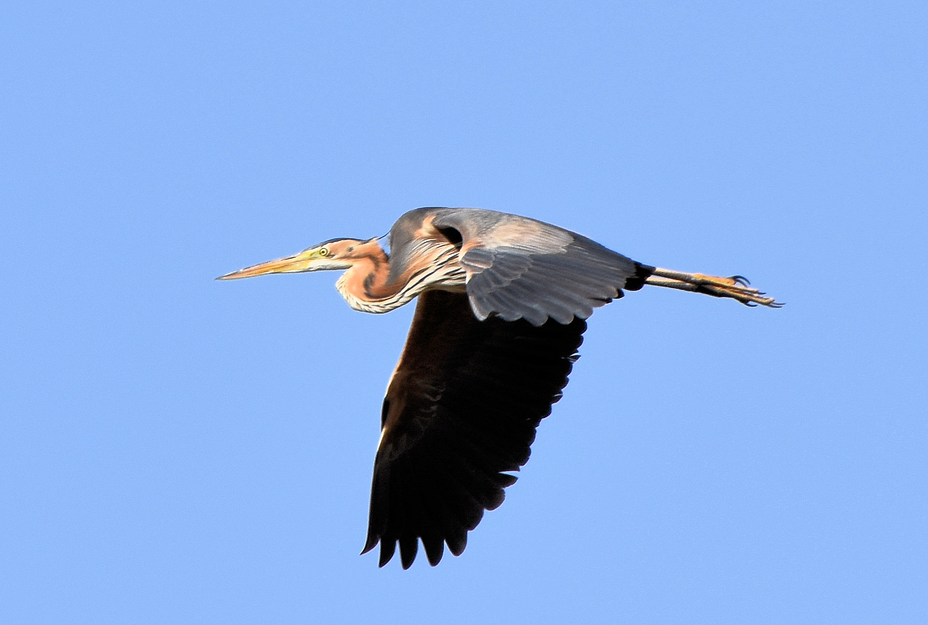 ÉPHÉMÉRIDES DU 30 JUILLET