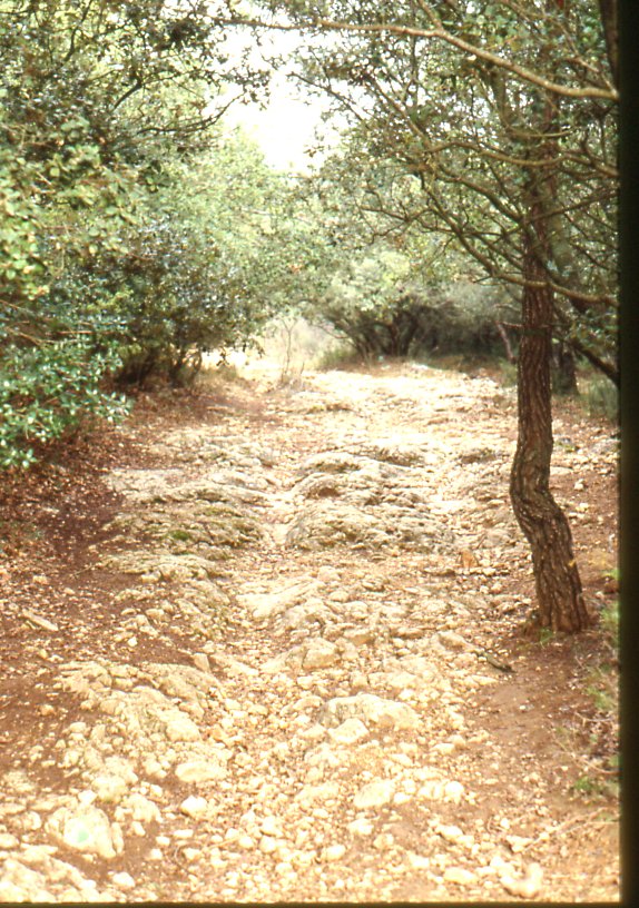 ÉPHÉMÉRIDES DU 1er  JUILLET