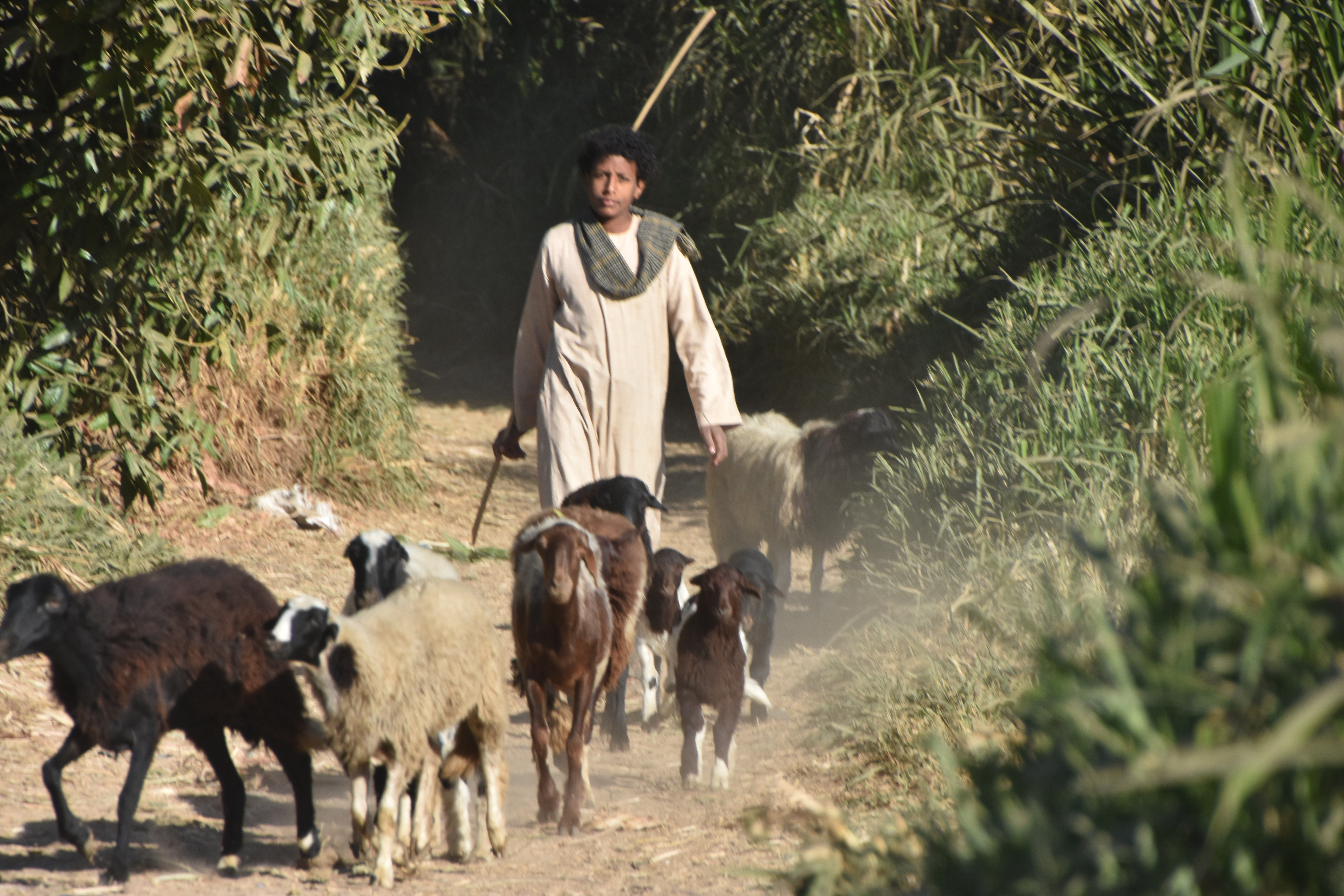 ÉPHÉMÉRIDES DU 12 SEPTEMBRE