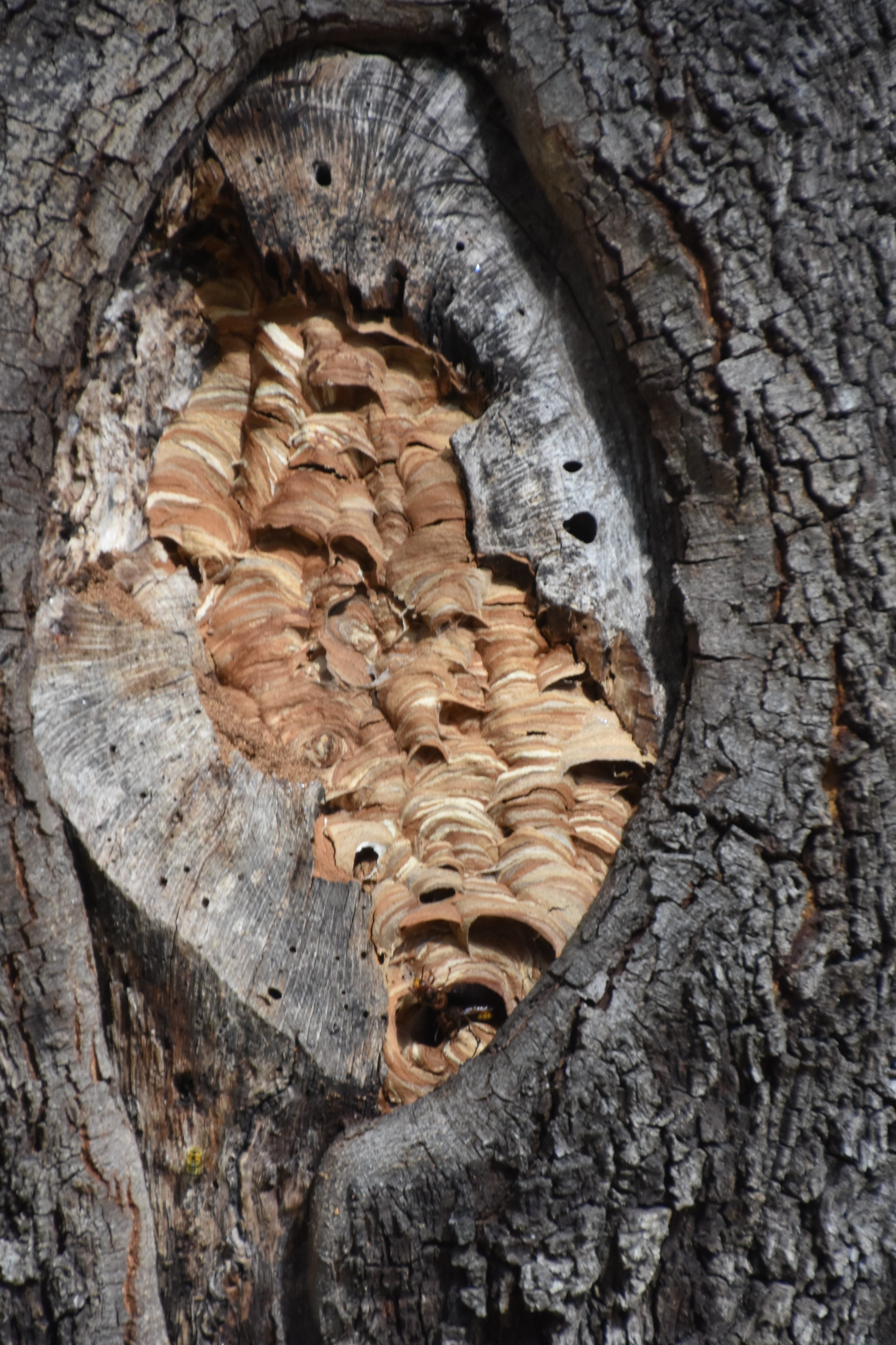 ÉPHÉMÉRIDES DU LUNDI 13 OCTOBRE