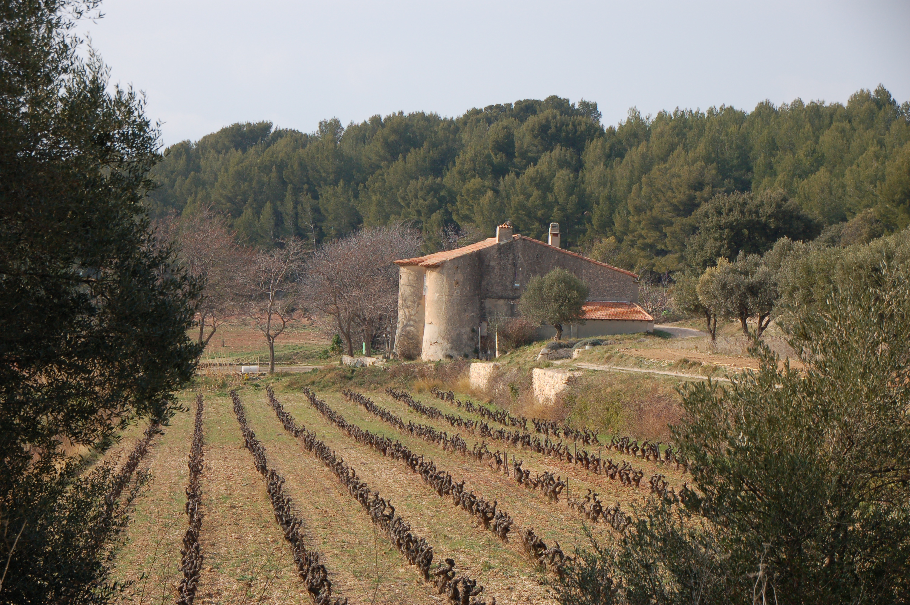 EPHEMERIDES DU 11 OCTOBRE