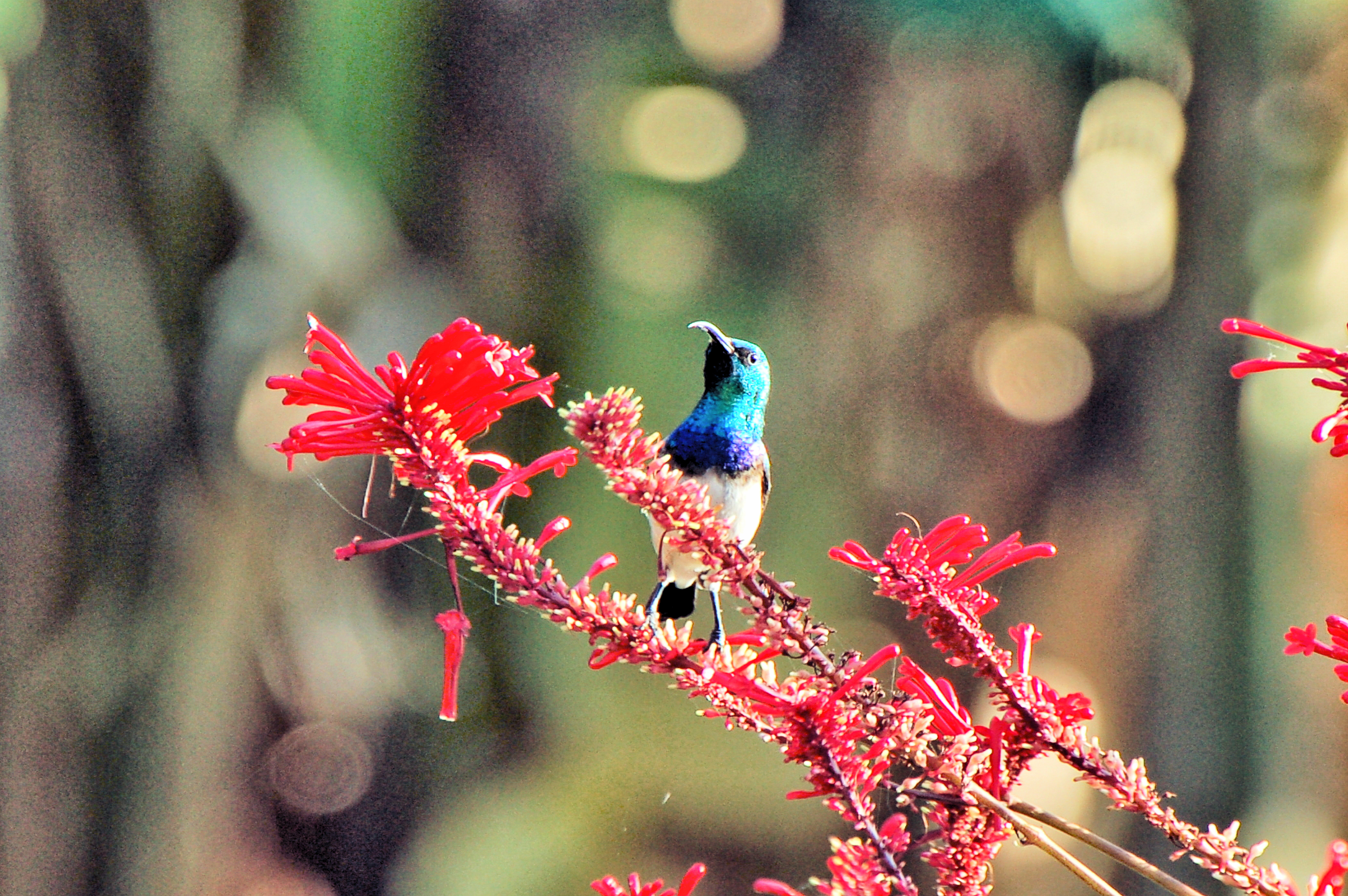 ÉPHÉMÉRIDES DU 7 OCTOBRE
