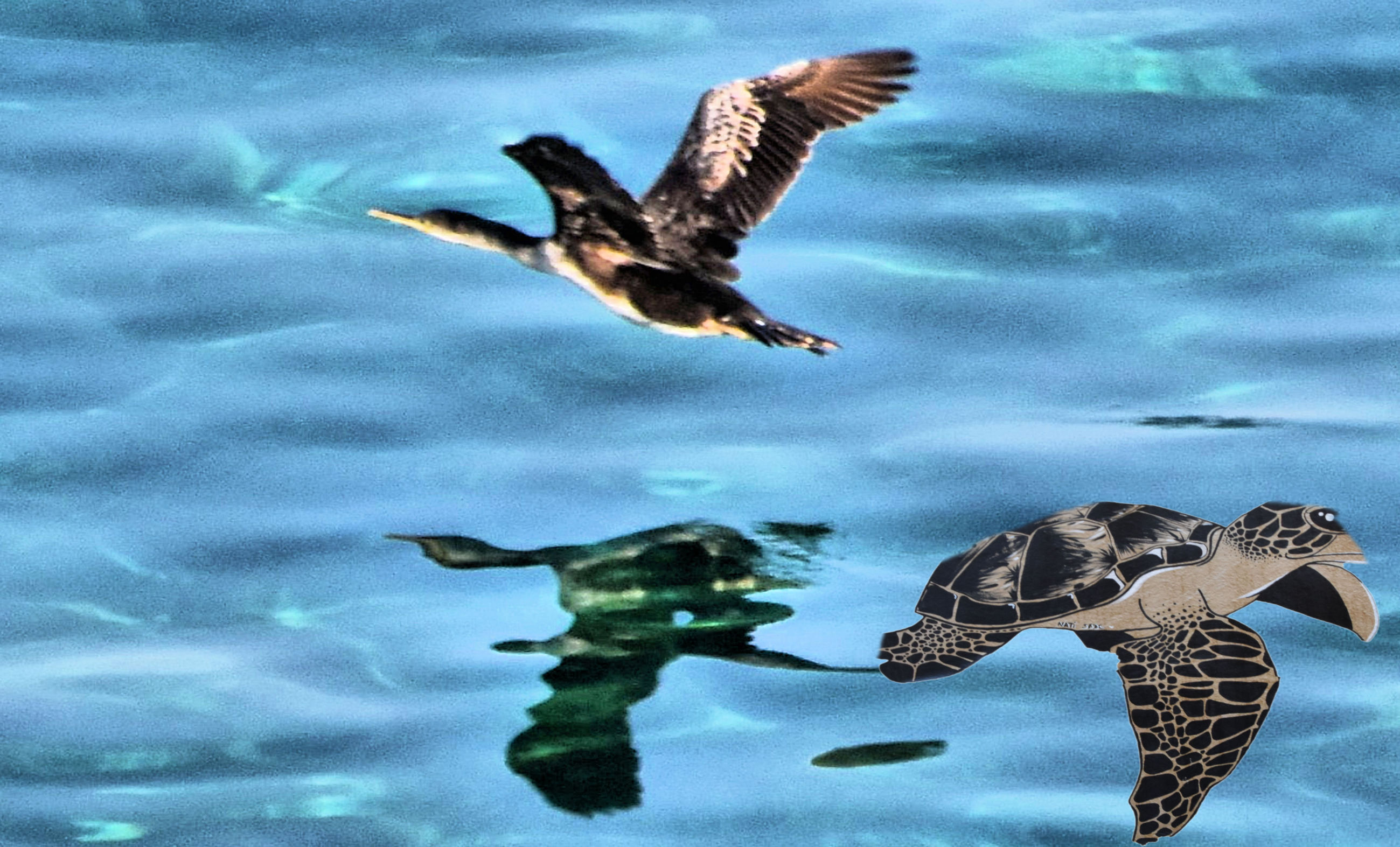 EPHEMERIDES DU VENDREDI 14 NOVEMBRE 2025