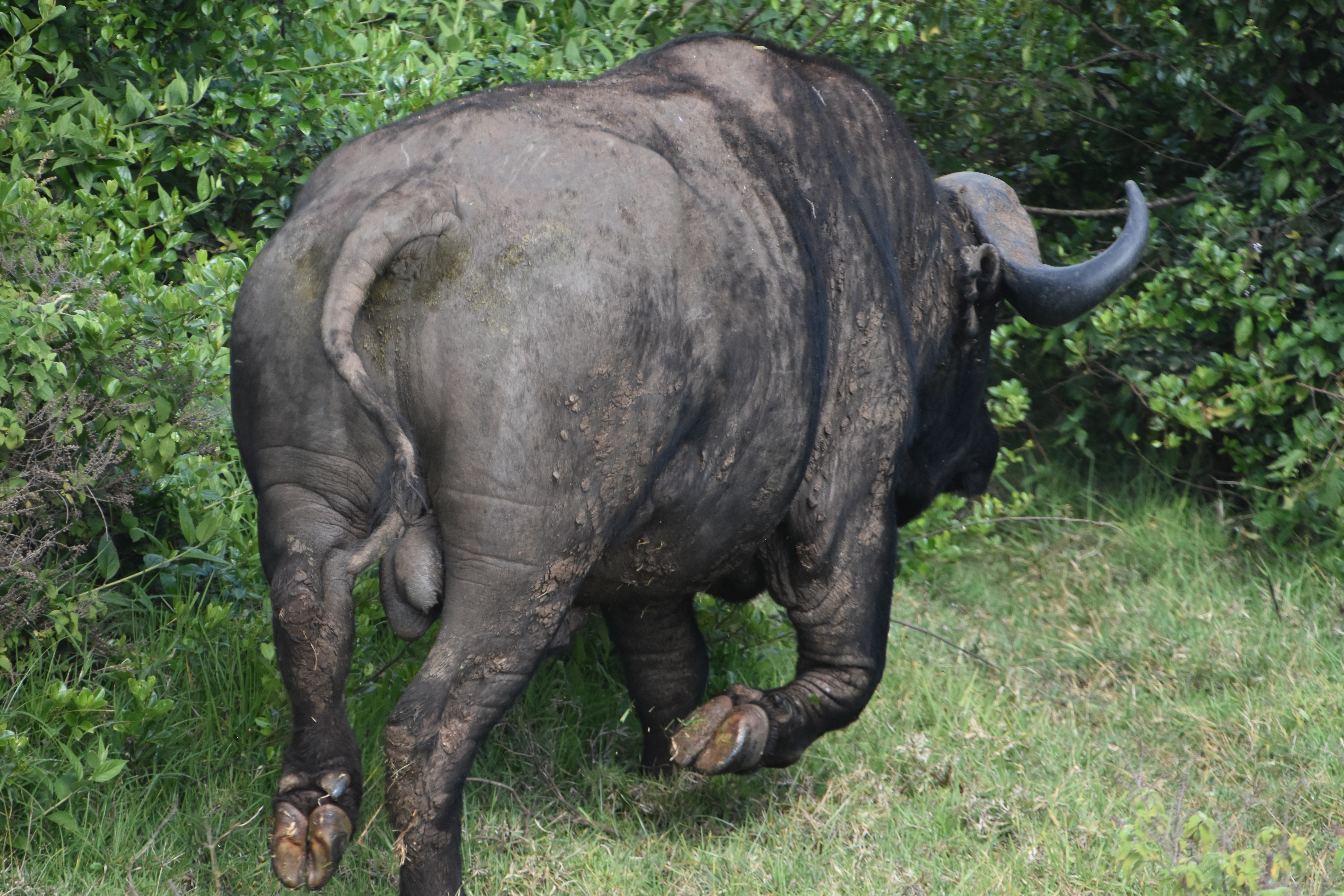 EPHEMERIDES DU 27 JANVIER 2026