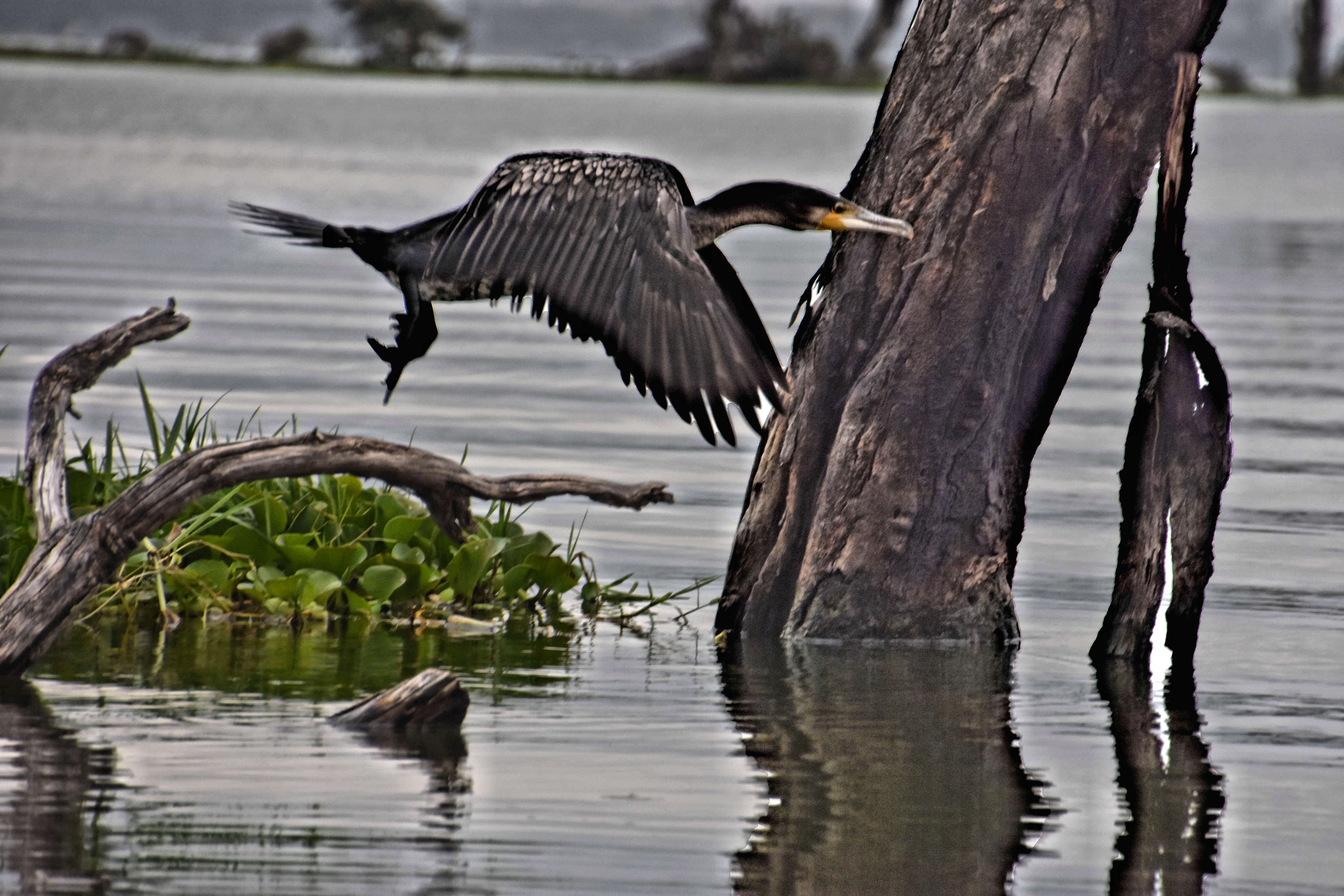 ÉPHÉMÉRIDES 5 MARS 2025