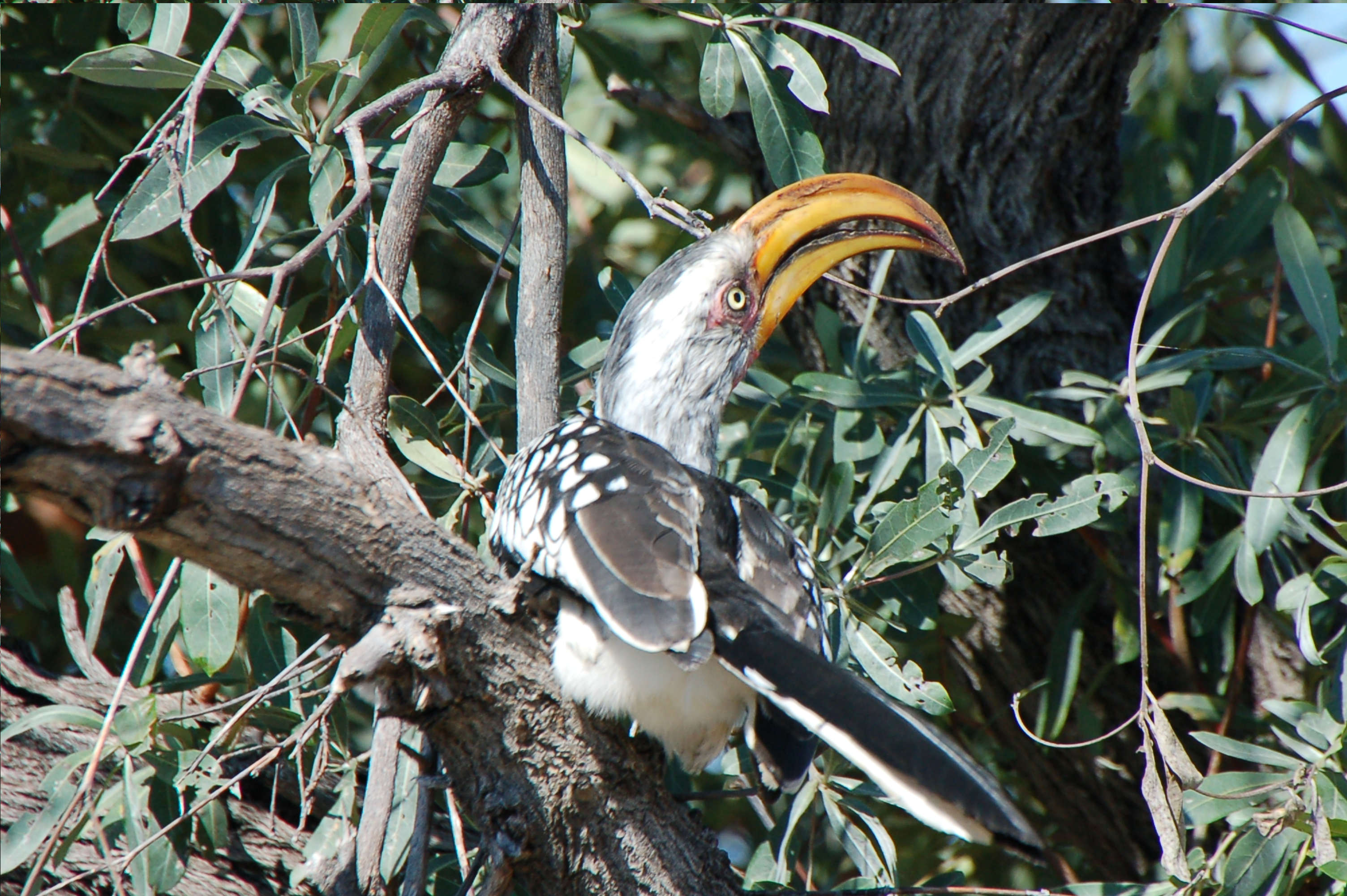 EPHEMERIDES DU 10 MARS 2026