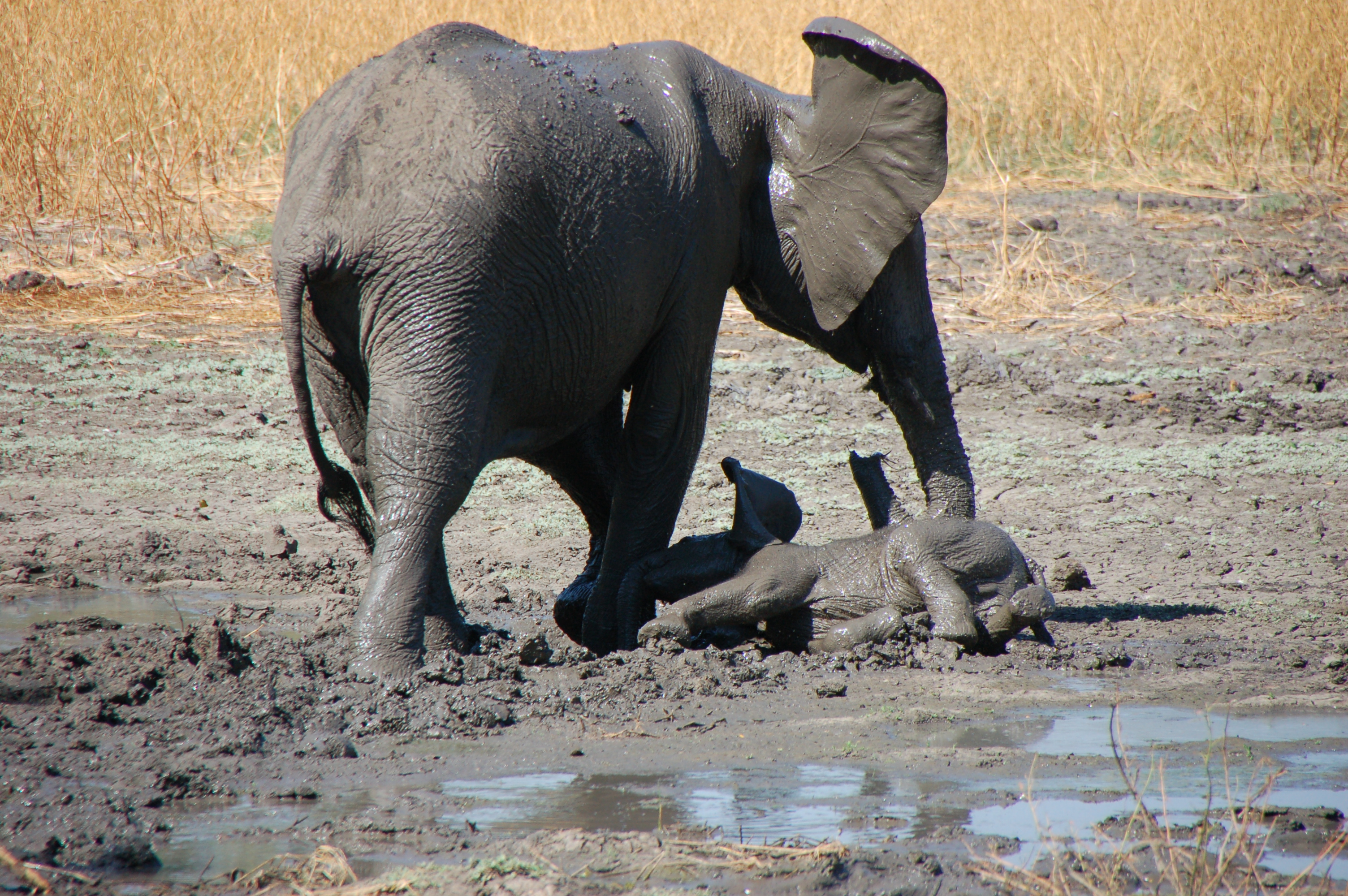 ÉPHÉMÉRIDES du 9 MARS 2026