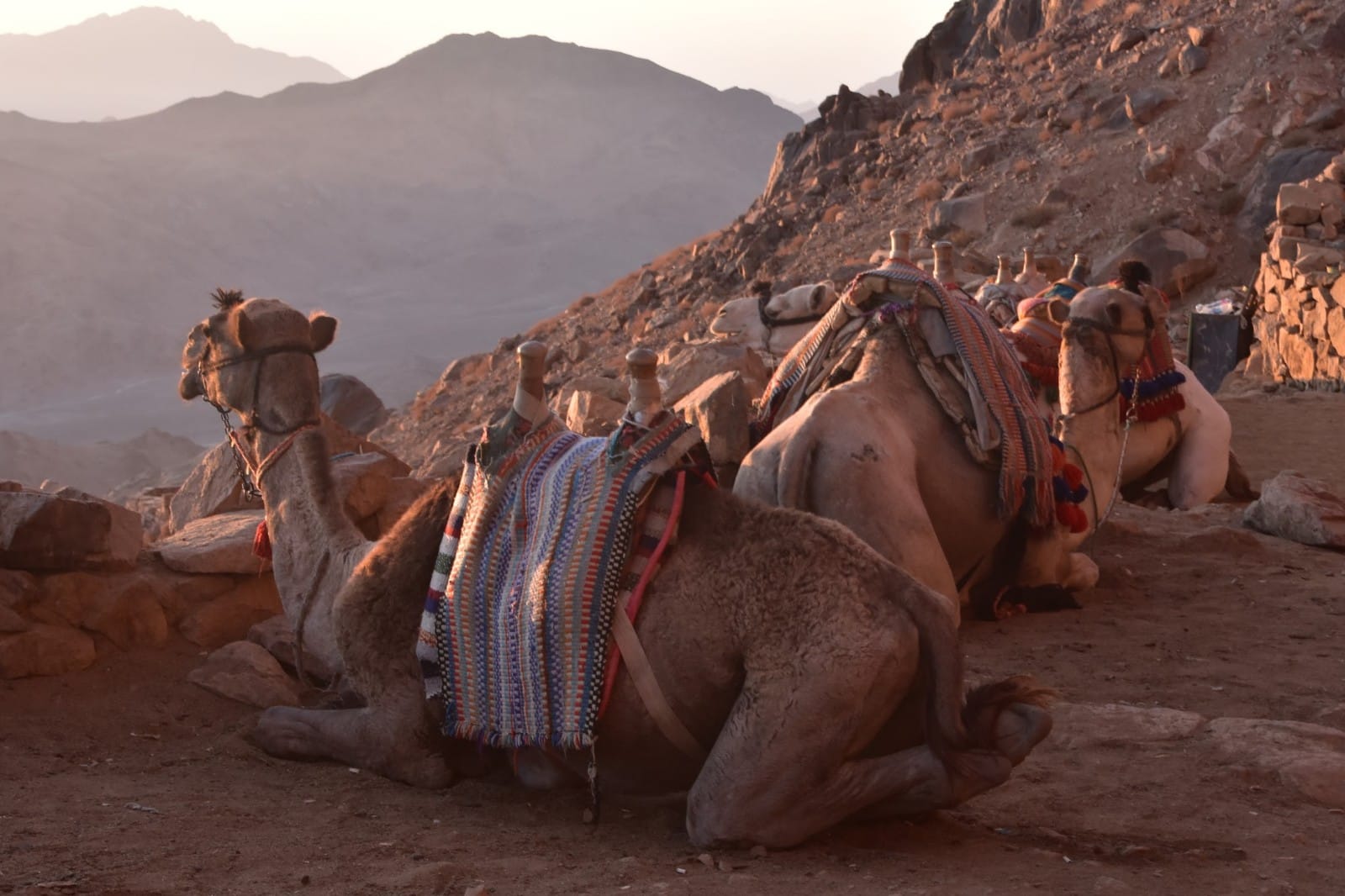 ÉPHÉMÉRIDES19 MARS 2026